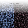 【冷浸脱水低温慢烘】几分之几 蓝莓干 80g/袋 人工采摘安心之选 商品缩略图2