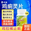 华畜国标兽用鸡痢灵片禽类通用清热解毒拉稀腹泻肠炎痢疾凉血消肿 商品缩略图0