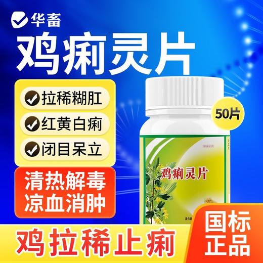 华畜国标兽用鸡痢灵片禽类通用清热解毒拉稀腹泻肠炎痢疾凉血消肿 商品图0