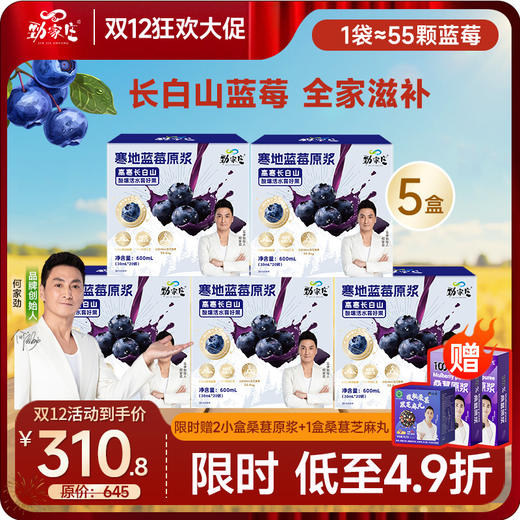 双12 寒地蓝莓原浆 30ml*20袋/盒 商品图2