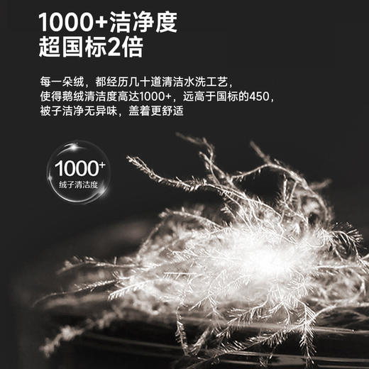 匈牙利进口立体95白鹅绒被 商品图6