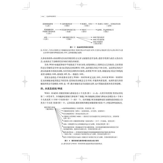 造血肿瘤诊断学 卢兴国 叶向军 吴建国 基于WHO-HAEM5诊断标准 介绍造血肿瘤最新分类 诊断方法与评判断模式等 上海科学技术出版社 商品图4