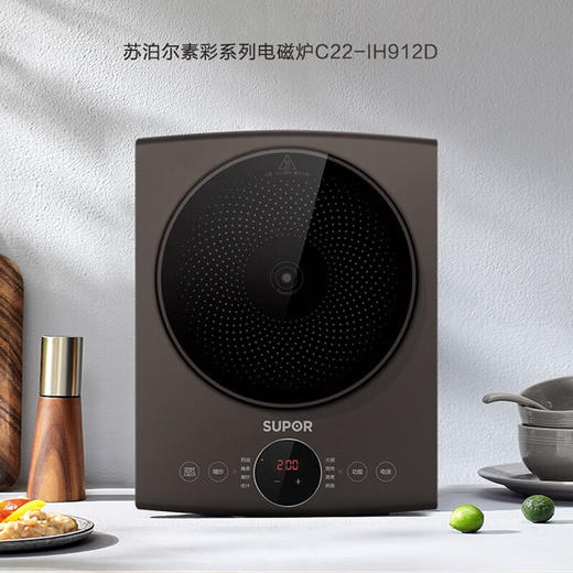 苏泊尔（SUPOR）电磁炉C22-IH912D 商品图3