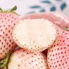 粉玉草莓250g/盒 商品缩略图3