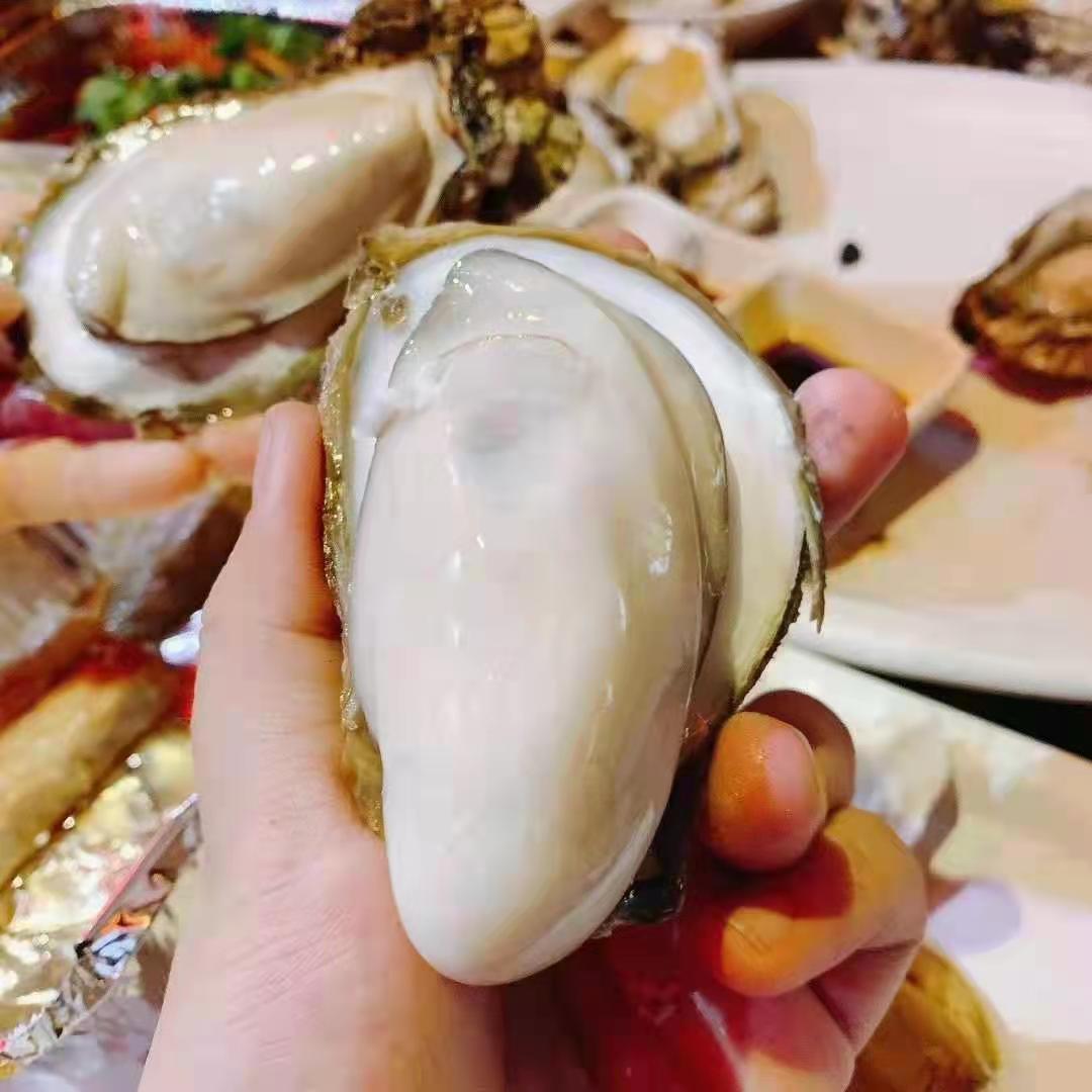 【中国地理标志产品】【乳山生蚝】 现捞现发 5斤/10装任选