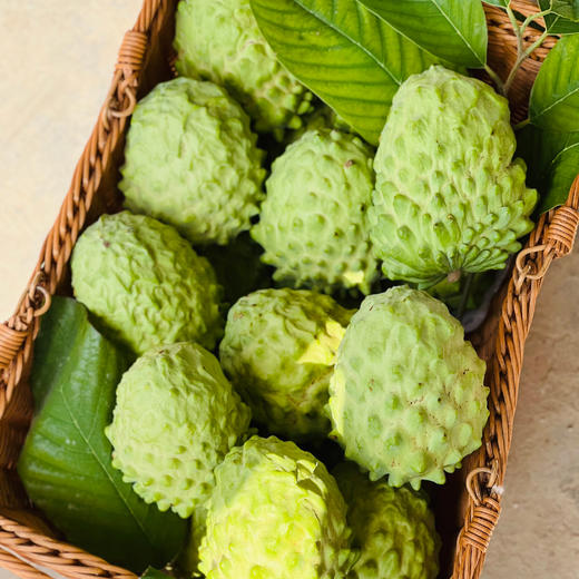 攀枝花凤梨释迦 商品图3