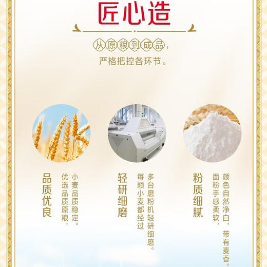 金龙鱼多用途麦芯小麦粉1kg/袋 商品图5