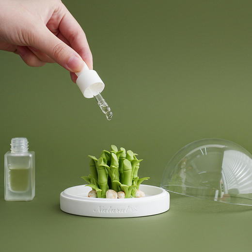 【非遗陶瓷手捏花传承】2026 马年富竹节节高套组 商品图14