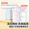 【斗半匠】小学英语每日5题上册人教版英语同步练习册每日一练 商品缩略图3