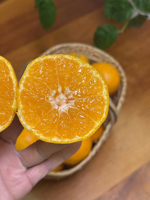 【正宗临海涌泉蜜桔】【老树果】2025年新鲜采摘国家地理标志产品  天下一奇，吃桔带皮，临海被誉为“江南桔乡”“无核蜜橘之乡” 商品图1