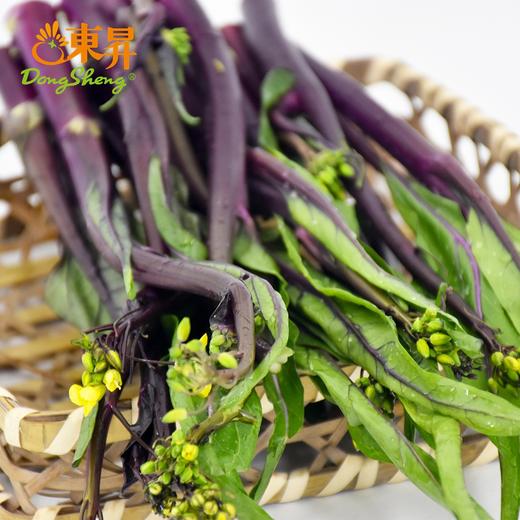 东升农场 有机红菜苔300g 红菜心 广东有机蔬菜新鲜配送 商品图4