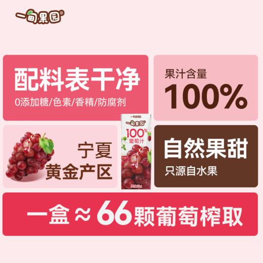 品牌直发 一甸园 一甸果园100%葡萄汁 200mLx10盒/箱 1箱装/2箱装 商品图4