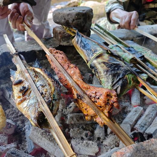 【自然科学独立营】追星追到科学家，国境上的雨林实验室 商品图6