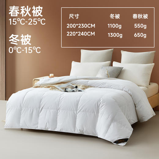 匈牙利进口立体95白鹅绒被 商品图1