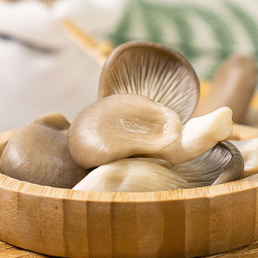 沈佳农有机小平菇 有机种植新鲜采摘蔬菜150g/盒【顺丰包邮】 商品图4