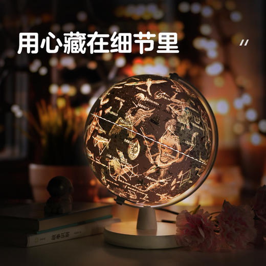 【享中国地图+世界地图+片式放大镜】北斗双子座触控星座灯光AR地球仪 马卡龙色20cm 商品图6