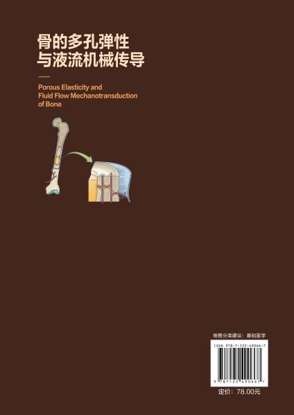 骨的多孔弹性与液流机械传导 商品图2