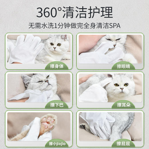 宠物免洗手套猫咪干洗狗狗清洁手套湿巾洗澡清洗按摩宠物清洁用品 商品图3