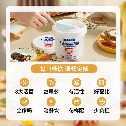 兰格格内蒙古草原凝固型酸奶八旗菌凝酪760g*2桶 商品图3