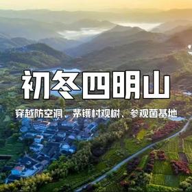 【亲子营】徒步初冬四明山，十字裤精华段，走进茅镬村古树群，参观食用菌基地...