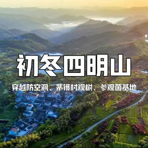 【亲子营】徒步初冬四明山，十字裤精华段，走进茅镬村古树群，参观食用菌基地... 商品图0