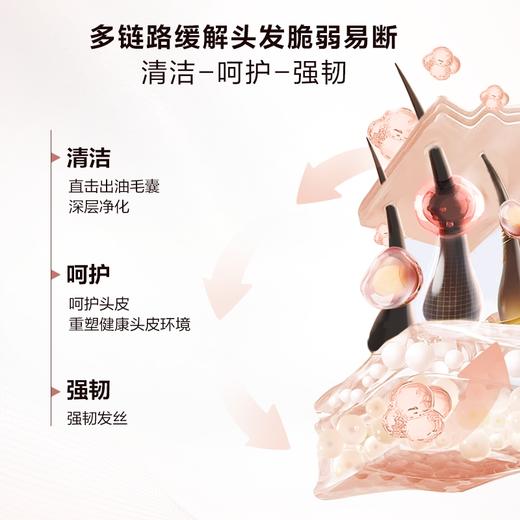 欧莱雅生姜洗发水护发素洗护套装强韧发根控油无硅油洗头水洗发露（有效期至2026年12月） 商品图5