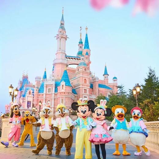 【出口餐具尾单-福利专场】🎀𝑫𝒊𝒔𝒏𝒆*童话明星系列双耳碗/字母盘/长盘/马克杯【CJ01】 商品图6