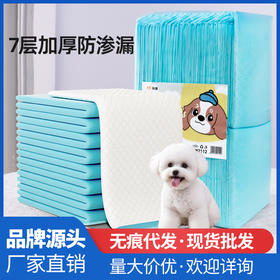 宠物尿垫大量加厚除臭狗狗尿垫宠物尿片一次性吸水垫尿不湿