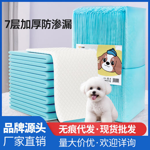 宠物尿垫大量加厚除臭狗狗尿垫宠物尿片一次性吸水垫尿不湿 商品图0