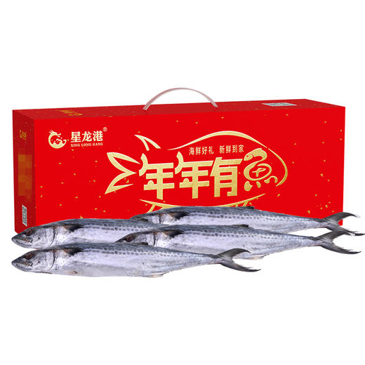 星龙港海捕冷冻鲅鱼礼盒-YGF 商品图0