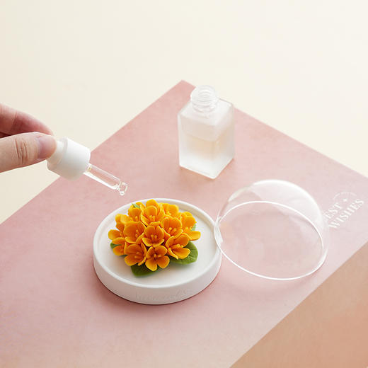 【非遗陶瓷手捏花传承】2026 缤纷多彩·小咖啡杯套组 商品图8