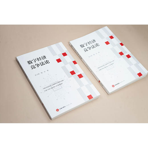 数字经济竞争法论 李子硕 杨东著 法律出版社 商品图5