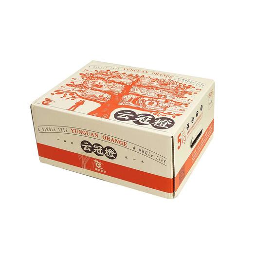 褚氏农业云冠橙5kg（优级L型） 商品图1