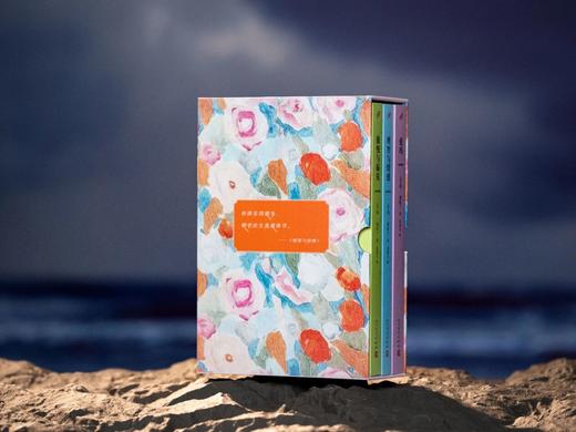 《简·奥斯丁精选集》（函套全3册），赠礼1：诗画级艺术书签3张，赠礼2：定制油画艺术帆布包1个。 商品图1