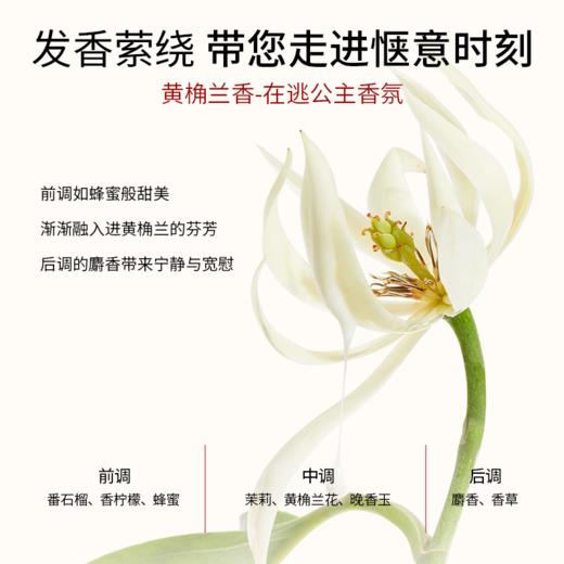 【下单送洗发水旅行装】蒂花之秀鱼子酱胶原氨基酸香醇发膜 500mg/罐 商品图4