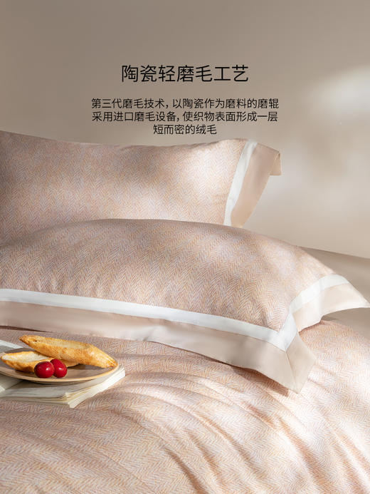 佳丽斯60S天丝磨毛纯棉四件套加厚床上用品全棉保暖2025新款秋冬 商品图4