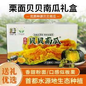 密农人家  精品正宗贝贝南瓜礼盒  进口种源送礼优选5斤