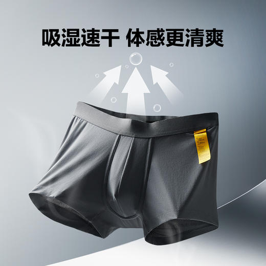 【龙牙上新】四代龙牙龙行者内裤 商品图3