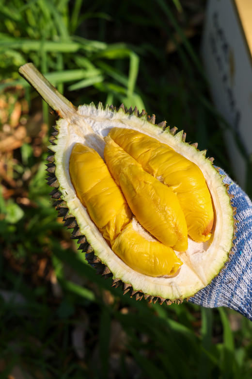 马来西亚猫山王榴莲鲜果 商品图6