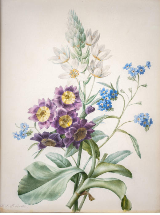 独角鹿西洋古董1813年代法国画师比利时植物学家Pierre-Joseph Redouté签名创作花卉主题水彩画 商品图3