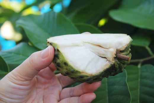  🌸 海南甜蜜释迦🌸 商品图2