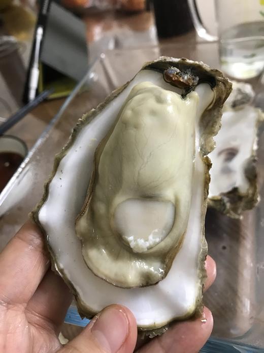 【中国地理标志产品】【乳山生蚝】 现捞现发 5斤/10装任选 商品图1