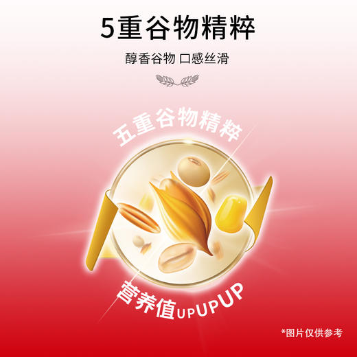 【金味】每日营养麦片21包装608g-XJ 商品图3