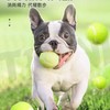 狗狗玩具弹力网球大中小型犬啃咬耐咬玩具橡胶训练球宠物用品 商品缩略图3