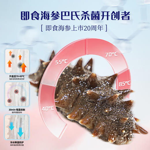 [晓芹]冷冻即食海参 9-12头/500g/袋 【开袋即食|顺丰包邮】 商品图1
