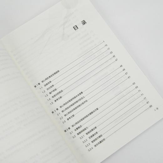 迈向自智网络时代 核心网自动驾驶网络 自智网络 自动驾驶网络 核心网 网络技术 智能驾驶 商品图2