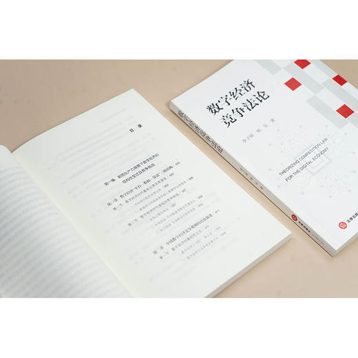 数字经济竞争法论 李子硕 杨东著 法律出版社 商品图4