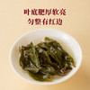 八马-万山红安溪铁观音100g-YGF 商品缩略图4