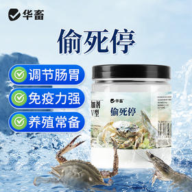 华畜 偷死停 调节肠胃 免疫力强 养殖常备