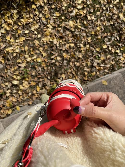 二店y 圣诞限量款，颜值与实力的杯具熊保温杯 商品图14